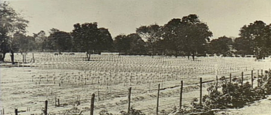 Kanchanaburi, Thailand. c. October 1945. Neatly laid out temporary crosses in the Allied War Cemetery